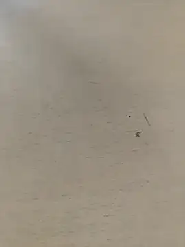 shale26 online show from 09.28.25