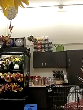 kobrashekyng online show from 10.20.25