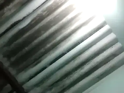 maximo vega newv online show from 01.06.25