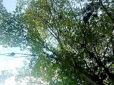 Darly Gomez online show from 03.15.25