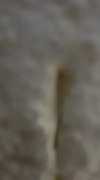 Snapshot of tuty_Tap chatting on 12.07.24 tuty Tap online show from 12.07.24