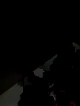 Kitjai200301 online show from 11.01.25