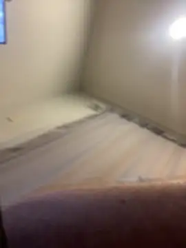 Snapshot of FrankJake99 chatting on 11.05.25 FrankJake99 online show from 11.05.25