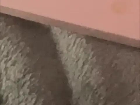 BCNguy1 online show from 01.16.26