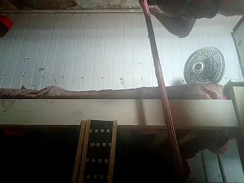 frotasso online show from 02.14.26