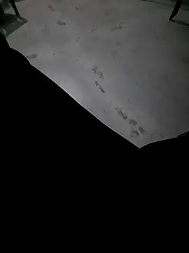 Ritikdesi online show from 03.03.25