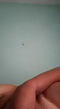 alexjs84 online show from 12.16.24