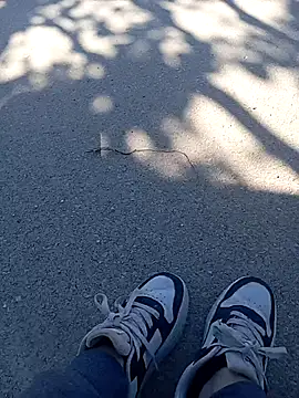Snapshot of Eleni_Pappa chatting on 05.05.26 Eleni Pappa online show from 05.05.26