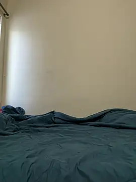 Snapshot of priyadevi17 chatting on 01.05.25 priyadevi17 online show from 01.05.25