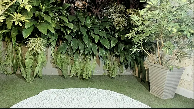 loladupont online show from 09.10.25