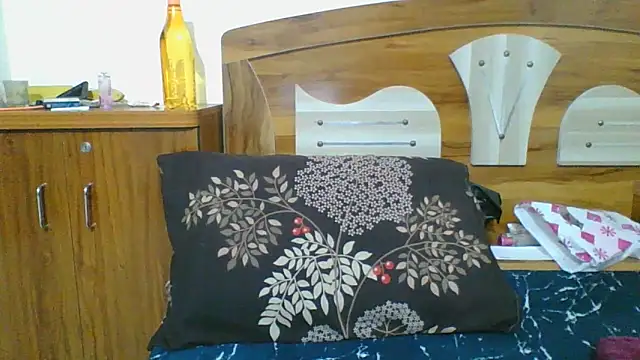 Snapshot of Riya_Stream01 chatting on 04.04.26 Riya Stream01 online show from 04.04.26