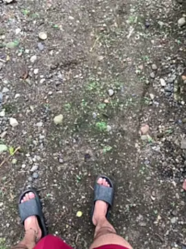 seven7xis online show from 01.01.25