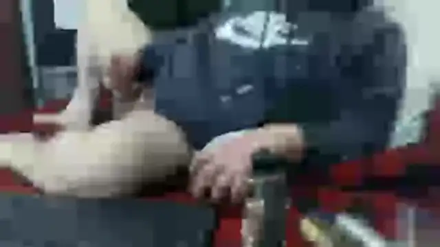 party51502 online show from 02.07.26