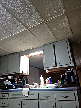 Snapshot of zaneporter46 chatting on 11.25.25 zaneporter46 online show from 11.25.25