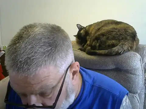 viejo oso online show from 10.05.25