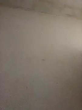 BELLAMORGANE1 online show from 11.02.25