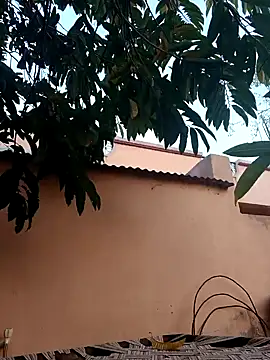 carria homes online show from 01.28.25