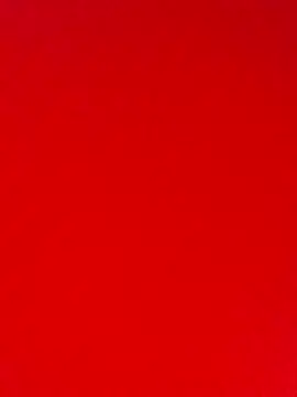 prnv00007 online show from 01.01.25