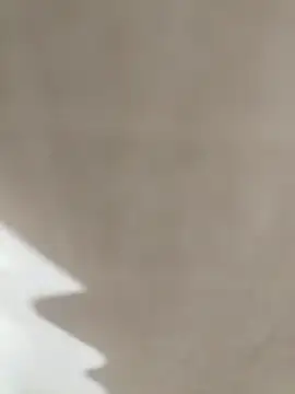 prnv00007 online show from 01.01.25