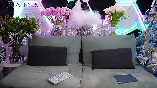 taanni bc online show from 01.31.25