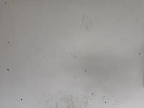 fs carioca online show from 12.02.25