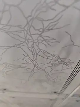 dreamers dick online show from 01.02.25