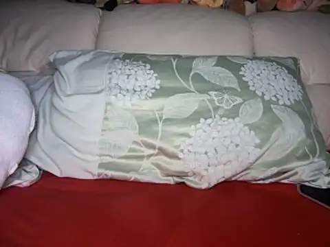 Snapshot of Archie8338 chatting on 11.04.25 Archie8338 online show from 11.04.25