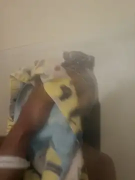 Looking4Jerries online show from 12.31.24