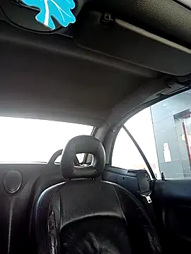 MisterHaze online show from 04.09.26