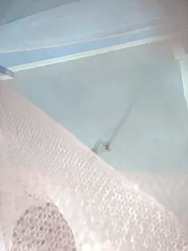 124pakhi online show from 01.12.26