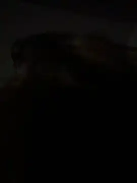 Kitty DaCocks online show from 01.07.26