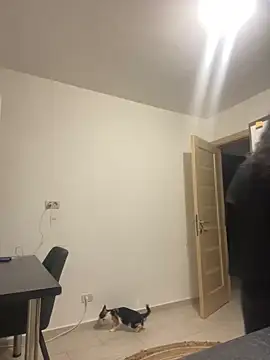 NNNoire online show from 09.26.25