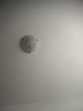 NNNoire online show from 12.20.25