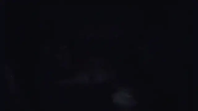 ParaFox online show from 09.14.25