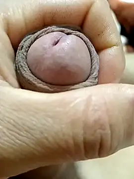 mmarvis za78 93 21cm online show from 02.23.25