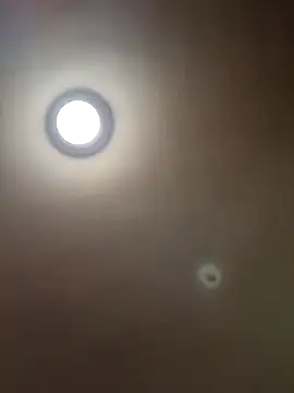 MrDaddyBbSnake online show from 01.28.25