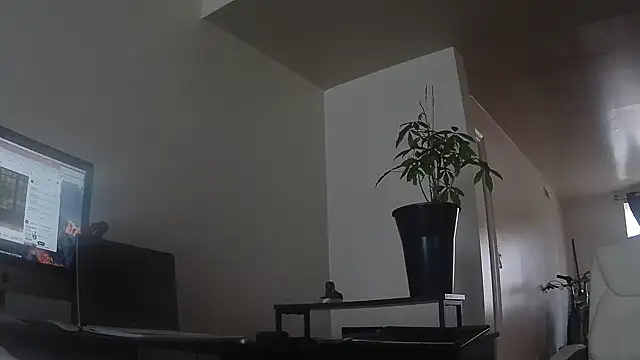 MrDaddyBbSnake online show from 03.30.26