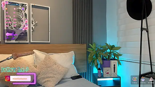 Elise-Leyton online show from 06.11.26