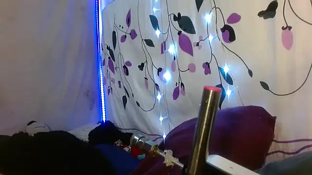 kattislut77 online show from 02.07.26