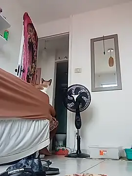 Munnoki online show from 04.02.26