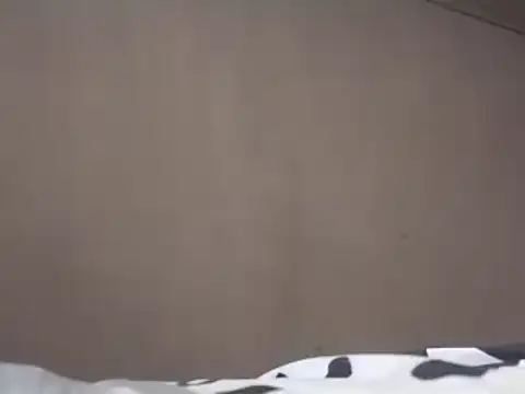 Chandy012 online show from 03.19.25