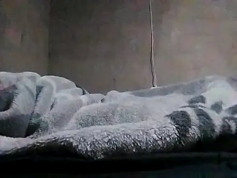 LaneYam online show from 03.24.26