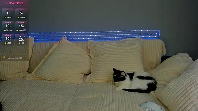 kimberly bohnes online show from 03.02.25