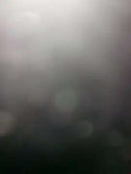 edubig23cm online show from 01.19.25