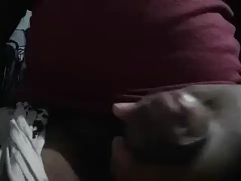 Snapshot of lolboy1234Z chatting on 01.23.25 lolboy1234Z online show from 01.23.25