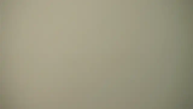 VeronaCritchlow online show from 01.30.25