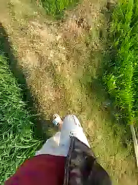 Extrembox5 online show from 01.26.25