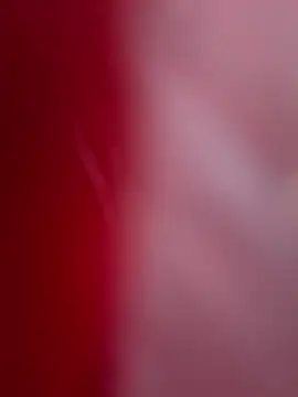 ALEXANDRA95 online show from 02.11.25