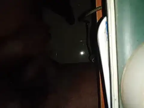 world bigdick1 online show from 02.14.25