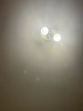 bunnythetailor online show from 04.07.26